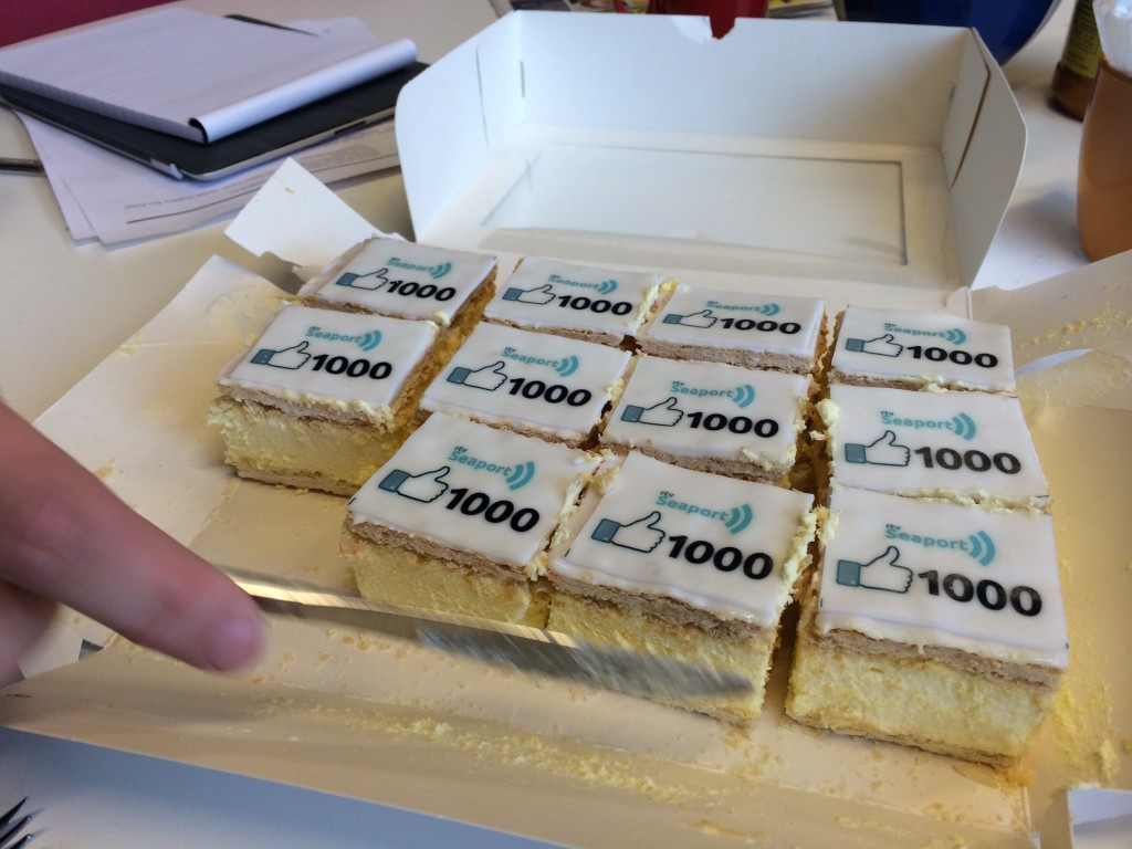 Meer dan 1000 likes voor RTV Seaport