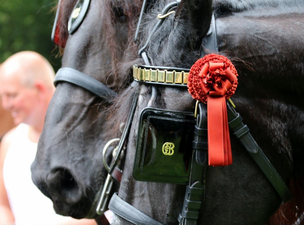 Fotoreportage Santpoortse Feestweek