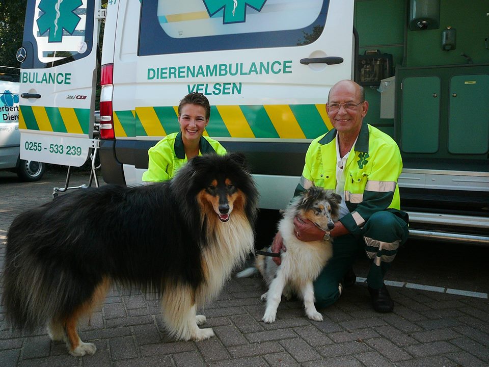 Open Dag Dierenambulance