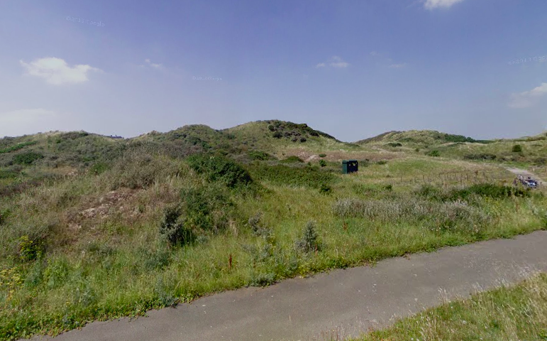 Zeer zeldzame paddenstoel in IJmuiden