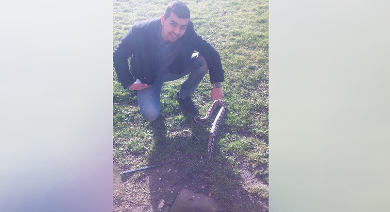 Velsen-Noord opgeschrikt door python