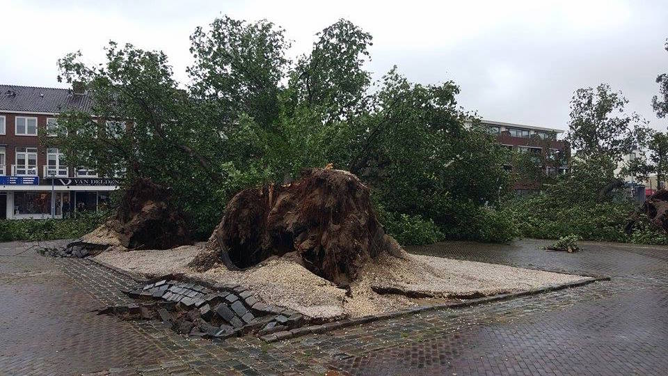 Gemeente Velsen: ‘Vermijd het park’