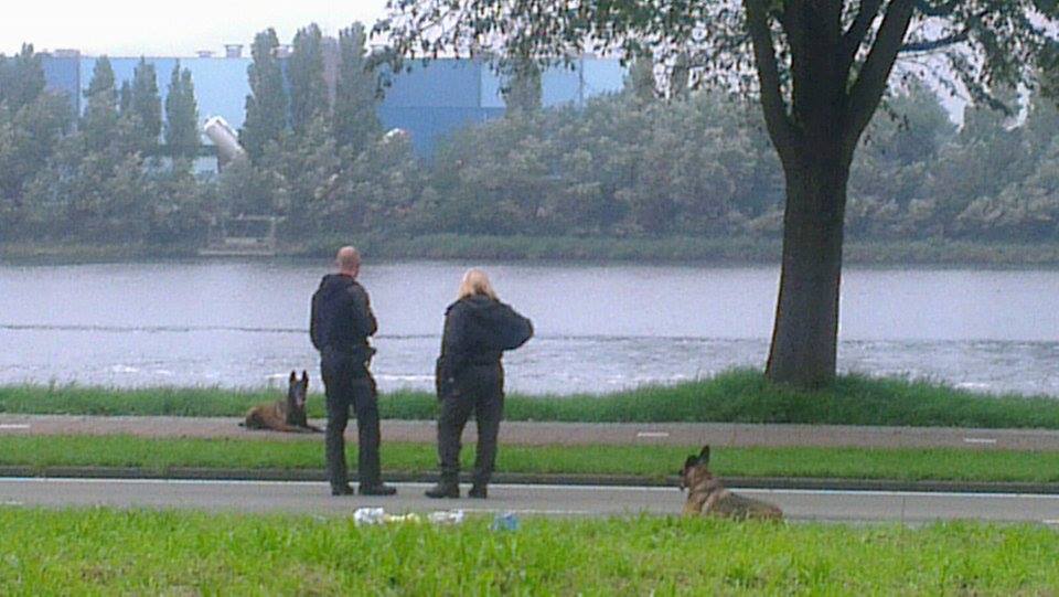 Vuurwapen uit auto gegooid in Velsen