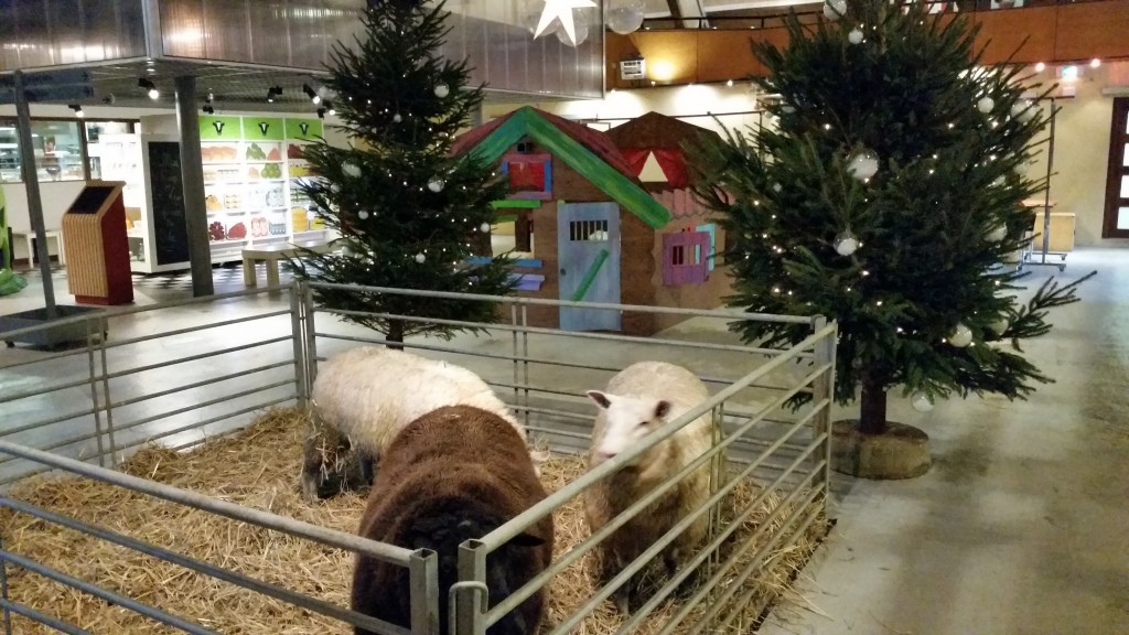 Kerst op boerderij Zorgvrij