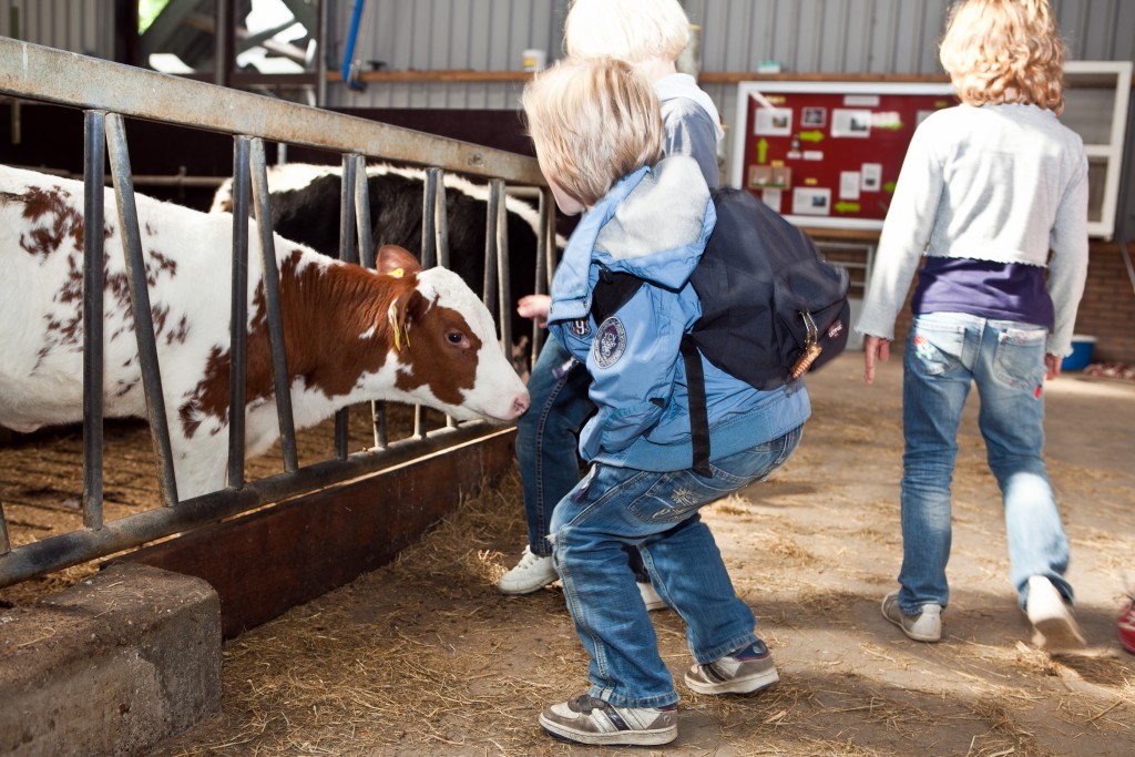 Boerderij Zorgvrij zoekt vrijwilligers