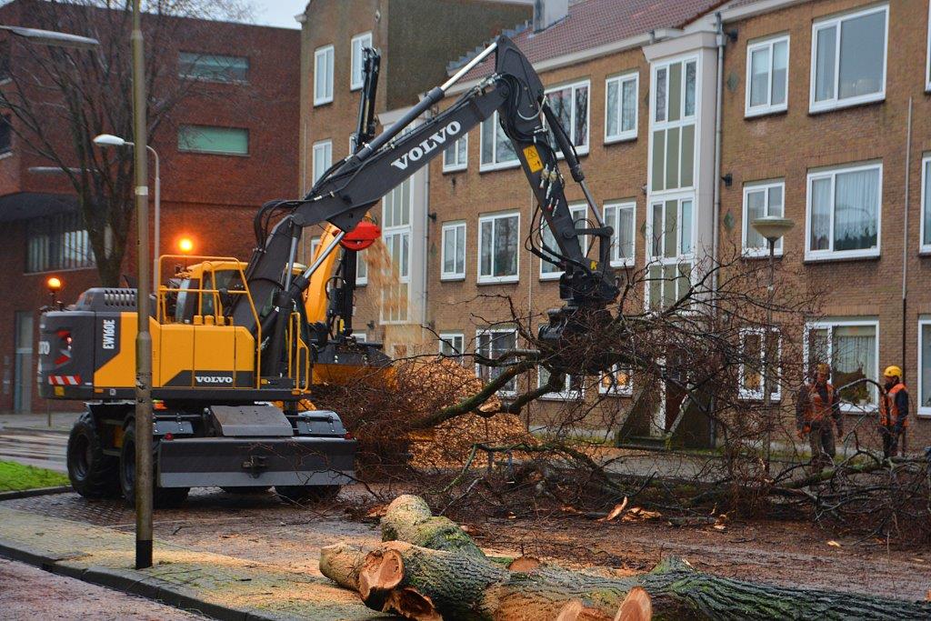 Bomen gekapt op Lange Nieuw