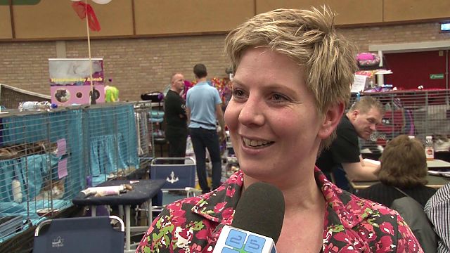 Nieuws uit de IJmond: Woensdag