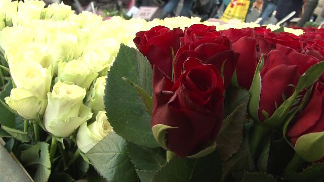 Nieuws uit de IJmond: Vrijdag