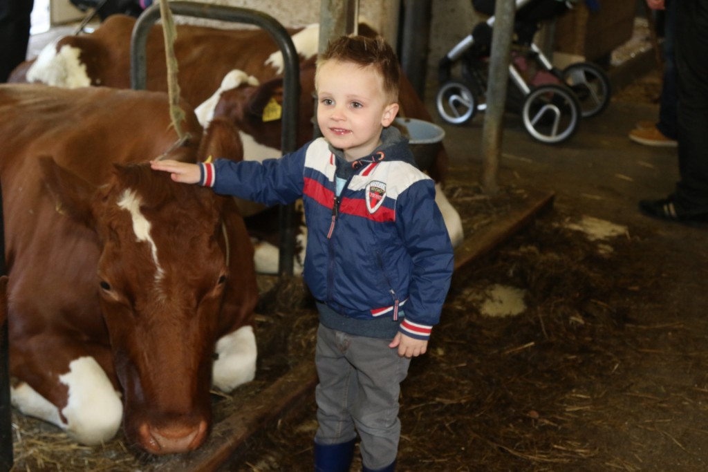 Pasen op boerderij Zorgvrij