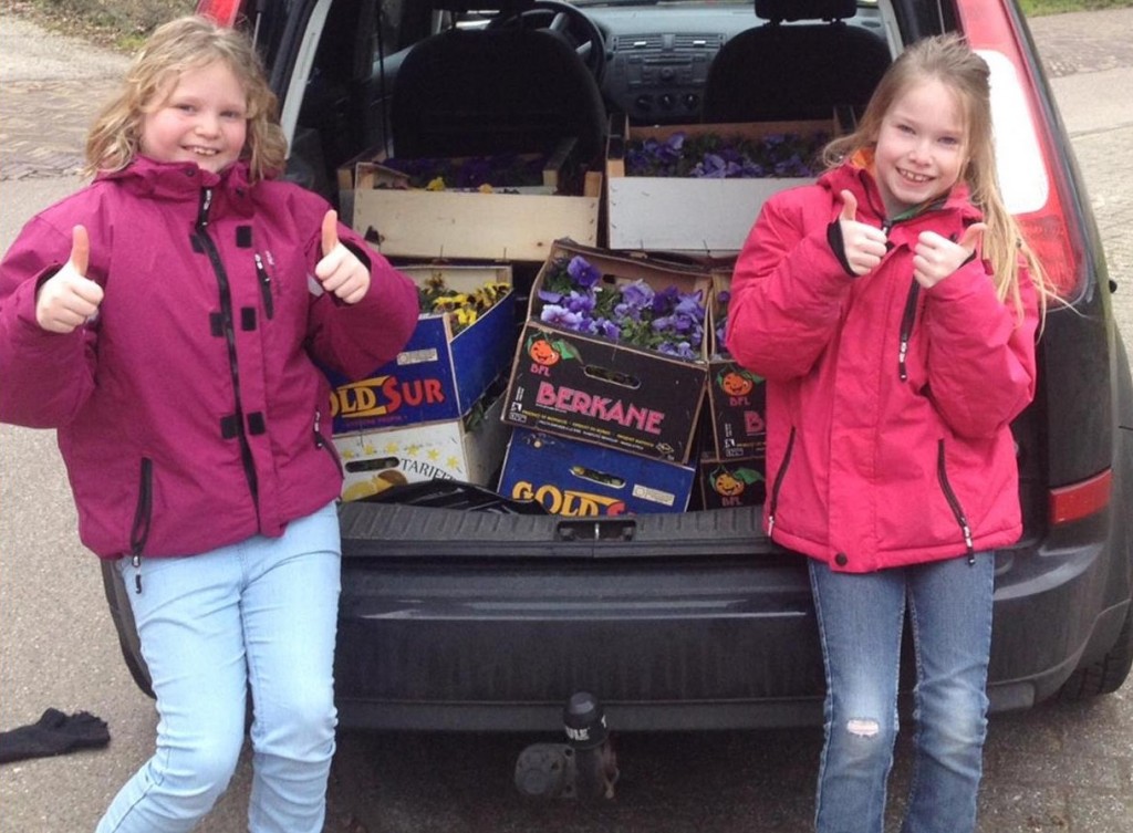 Violenactie Wiawaha groot succes