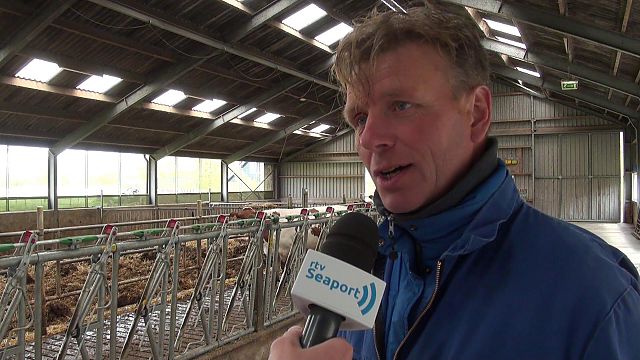 Koeien naar buiten op Zorgvrij