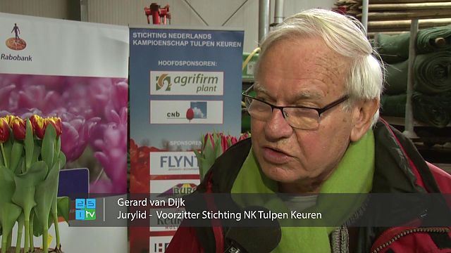 Nieuws uit de IJmond: Woensdag