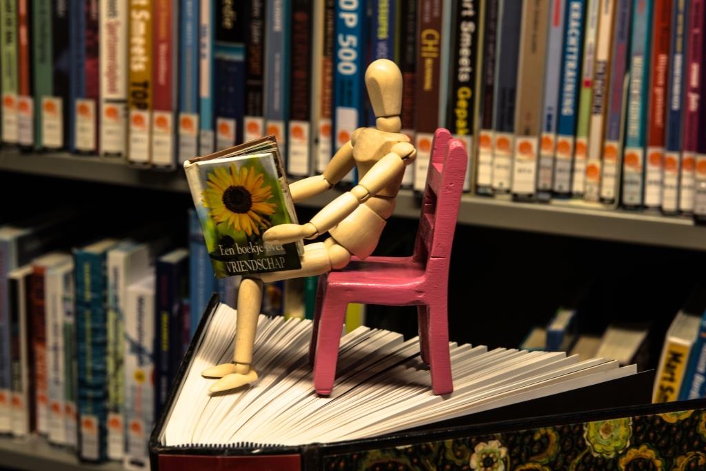 Verrassend boek van de bieb