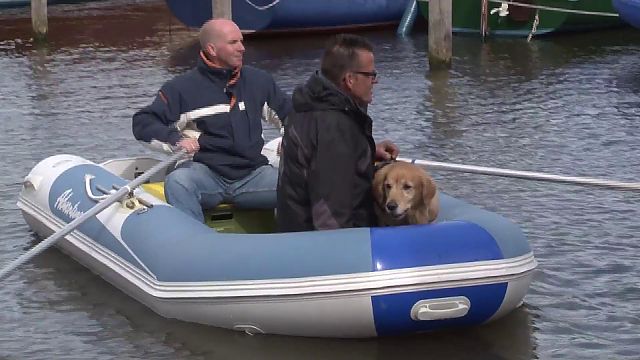Nieuws uit de IJmond: Maandag