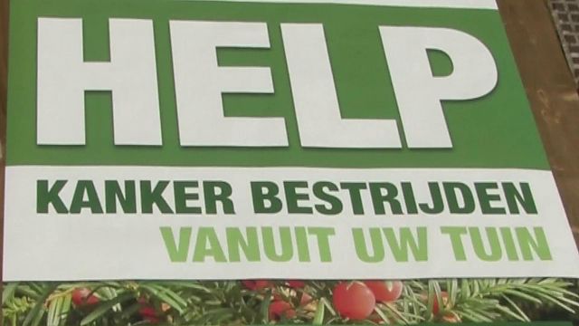 Nieuws uit de IJmond: Woensdag