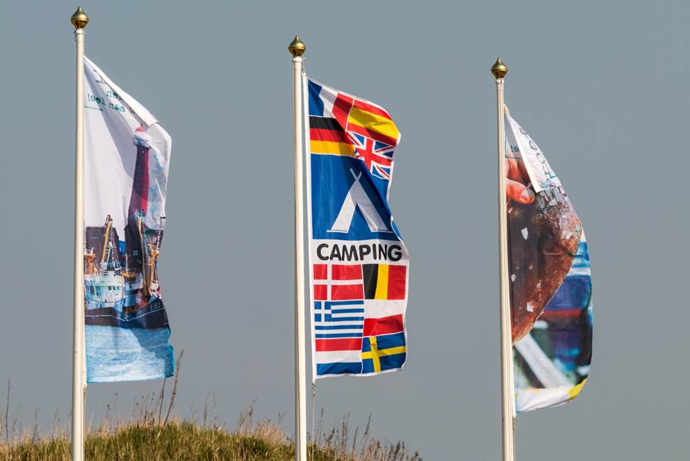 Milieuvriendelijkheid in duinen IJmuiden
