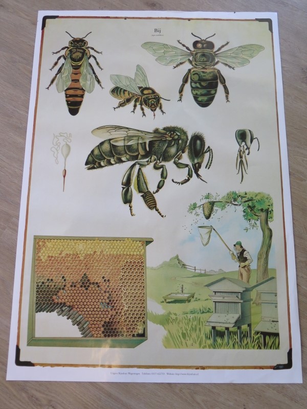 Bijen-actie museum en kinderboerderij