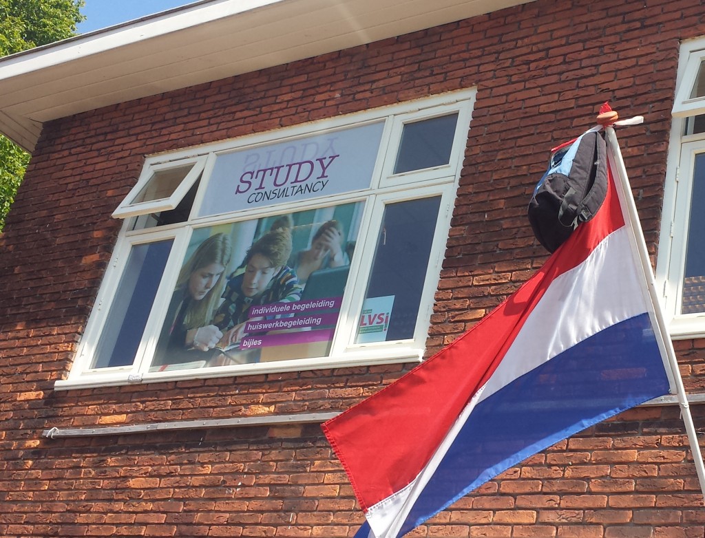 100% geslaagden bij Study Consultancy