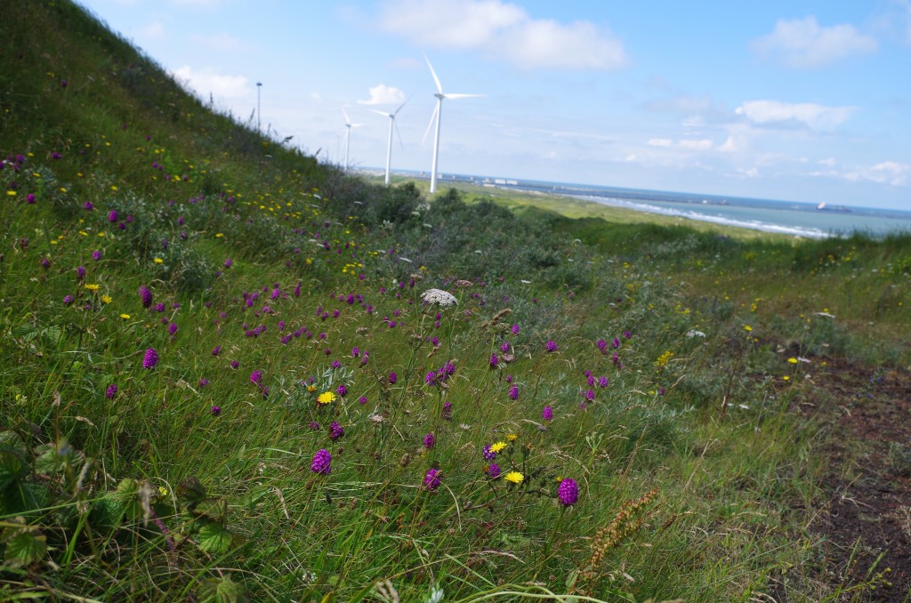 Natuurexcursie bij Tata Steel