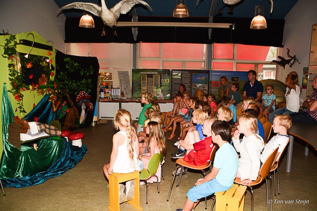 Expositie Bos vol Geheimen