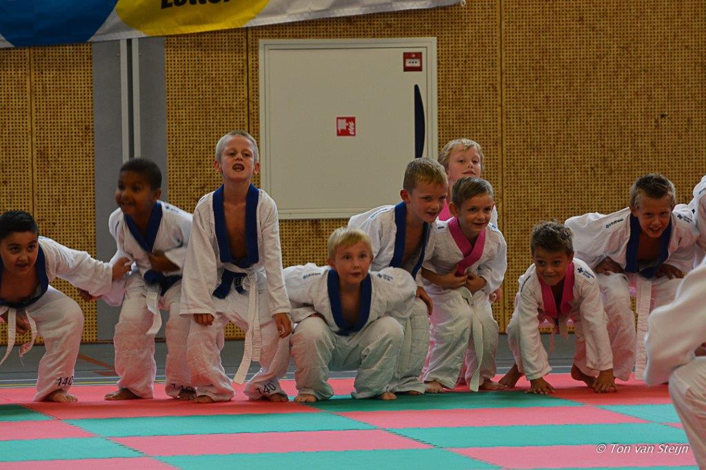 Schooljudo; plezier en weerbaarheid
