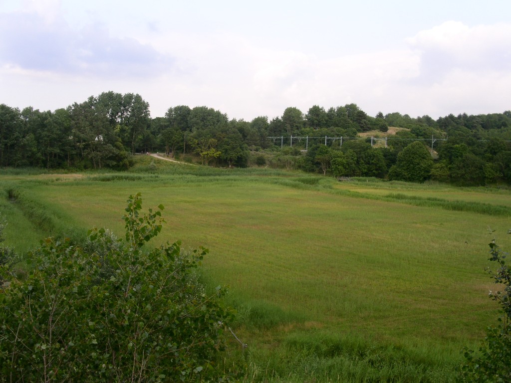 Natuurwerkdag in Middenduin