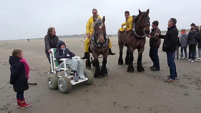 Vissen met trekpaarden