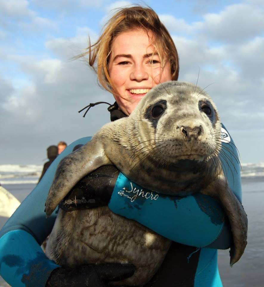 Nieuwe naam voor hulpteam zeedieren