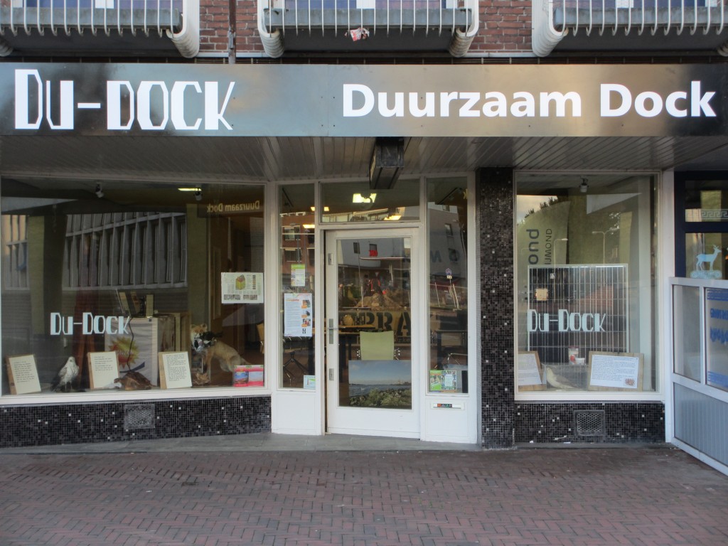 Alles over Zonnepanelen in pop-up store