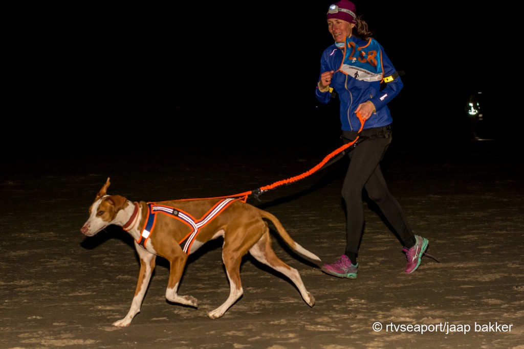 Canicross: hardlopen met je hond in het donker