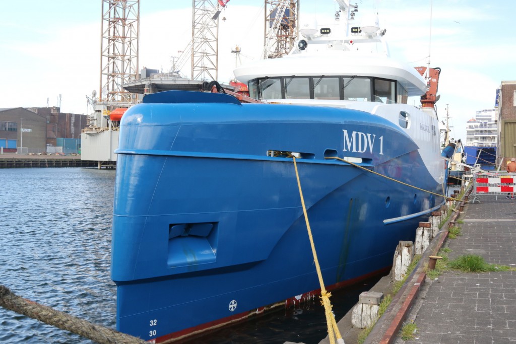 Dag van de duurzame Noordzeevis