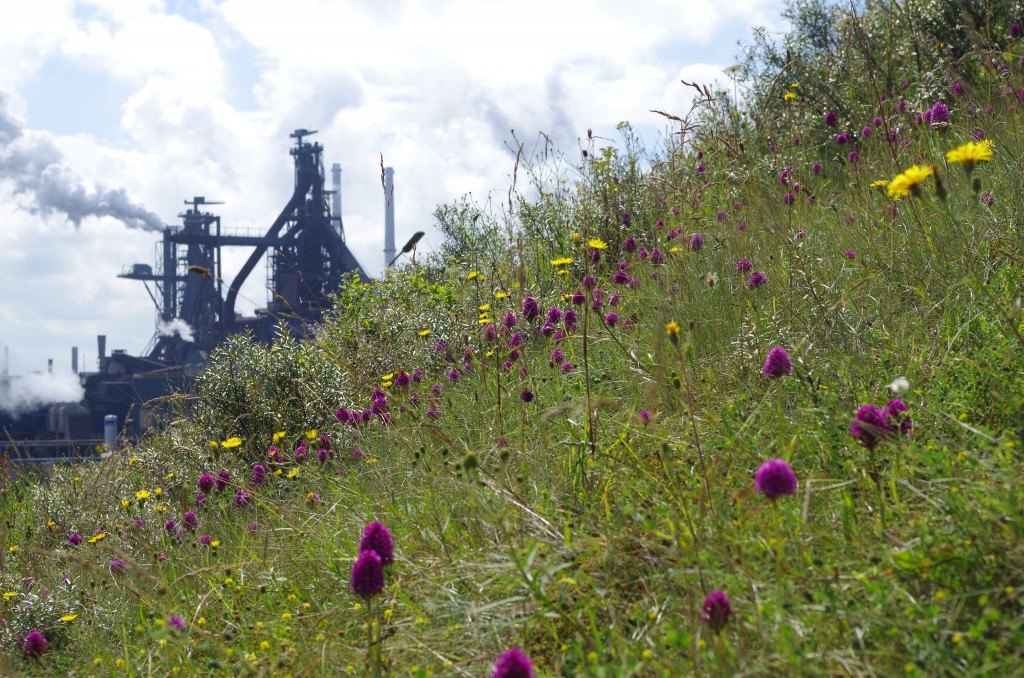 ‘Natuur liefhebben onder de rook van’