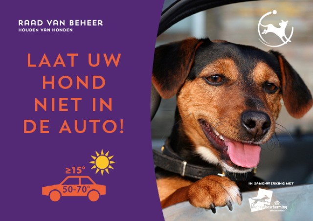 Laat uw hond niet in de auto!