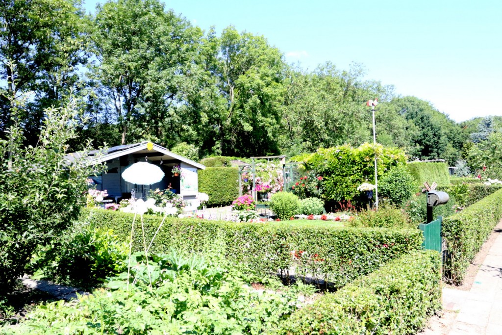 Open dag bij VTV in Velsen Noord