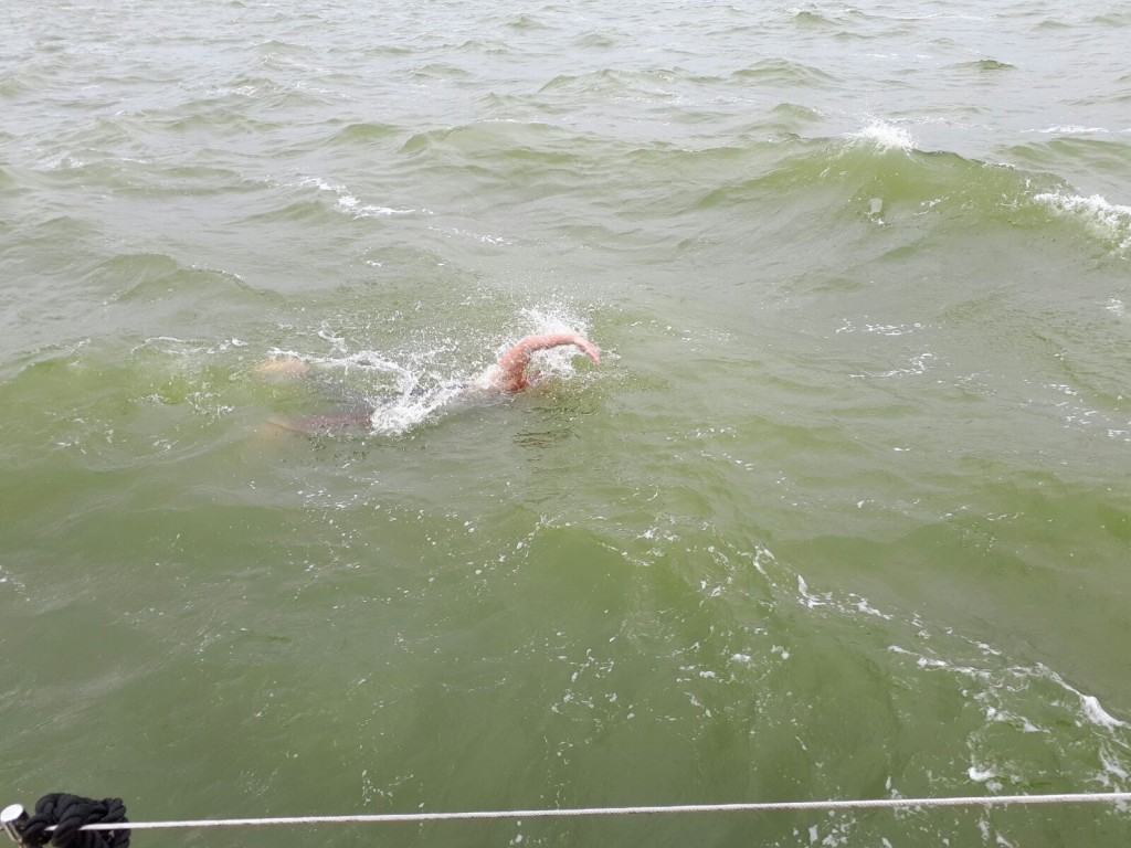 IJsselmeer zwemmarathon