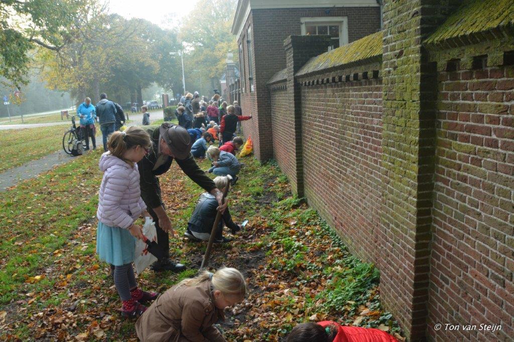 Beeckestijn bloeit in het voorjaar