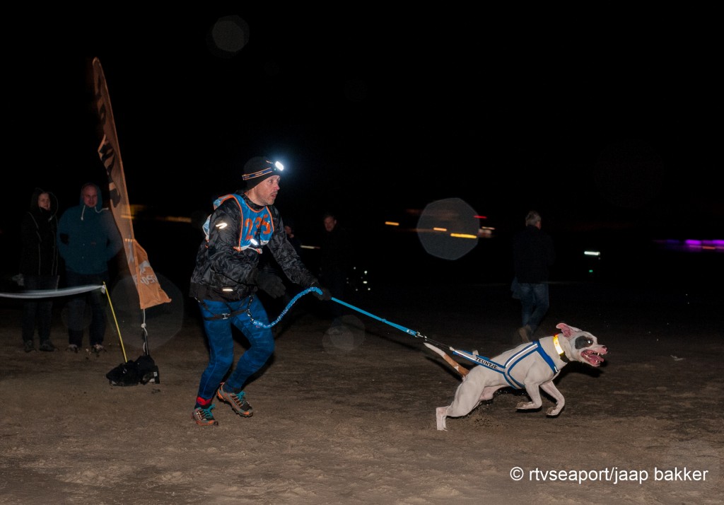 Night Beach Canicross op strand IJmuiden
