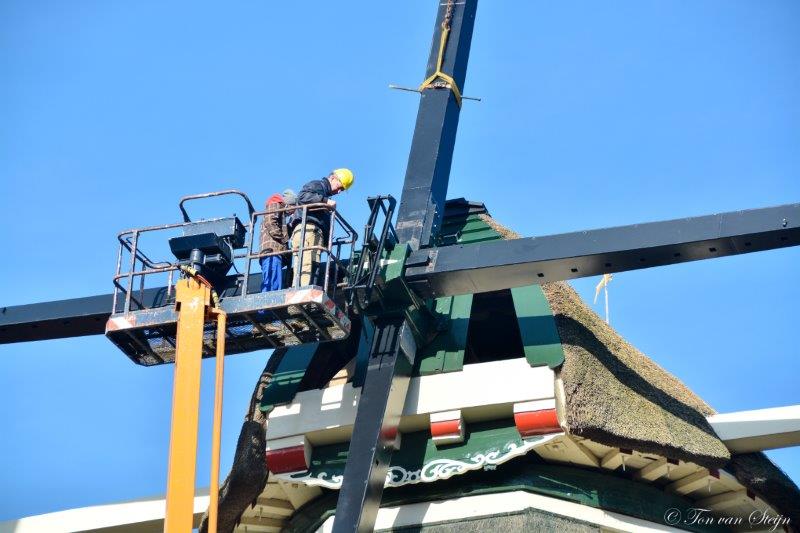 In afwachting van twee nieuw roeden