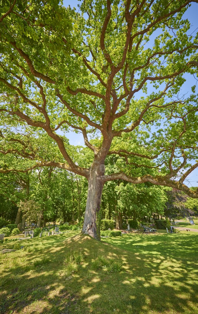 Open dag in Gedenkpark Westerveld