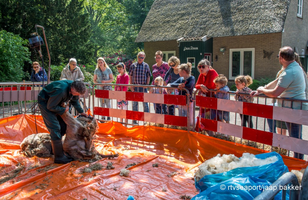 Pinksteren in Velserbeek