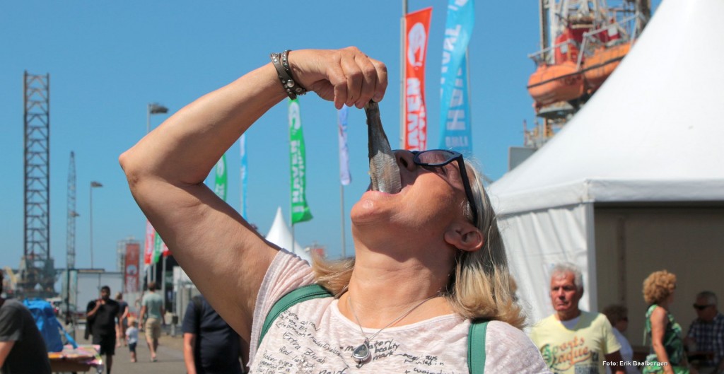 Schone zee belangrijk bij Havenfestival