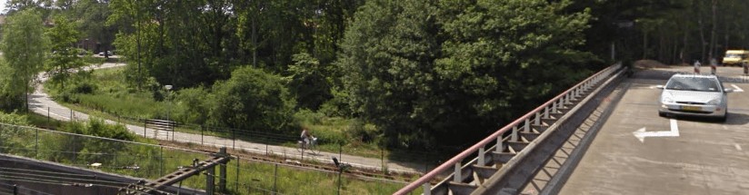 Bomen kap in Velsen-Noord