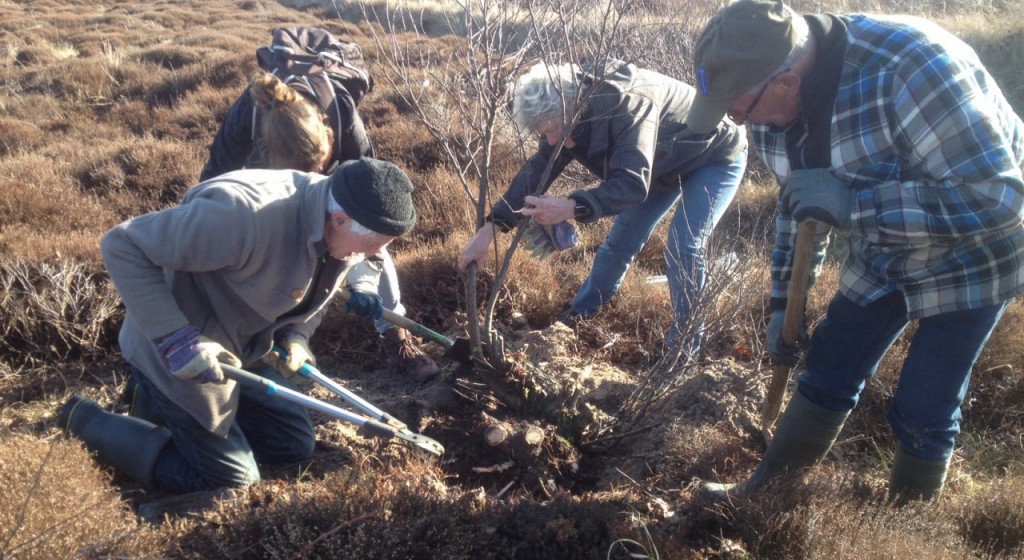 Werkdag in Duin- en Kruidberg