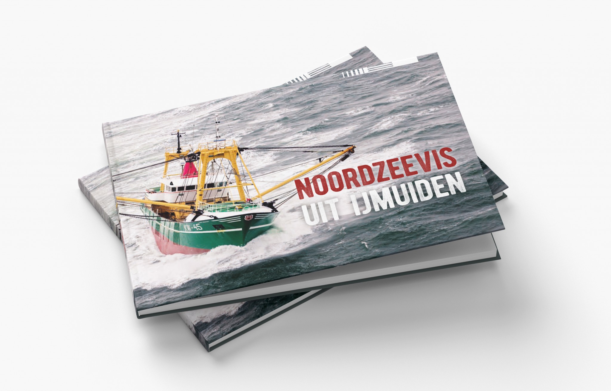 Boek over promotie IJmuidense vis