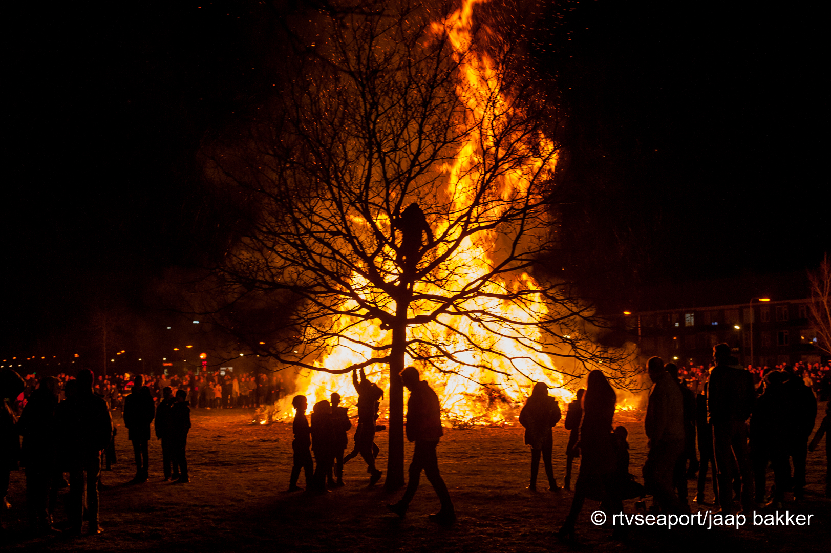De fik in de kerstbomen