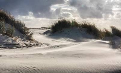 Ontdekkingstocht door de duinen