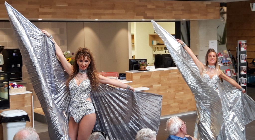 Aantrekkelijke programma Velserduin Zomerfeest