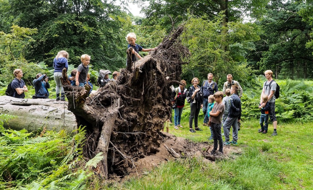 Survival met de boswachter