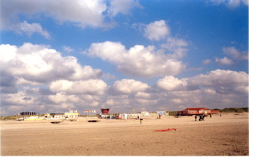 Op zoek naar zeeleven op het strand