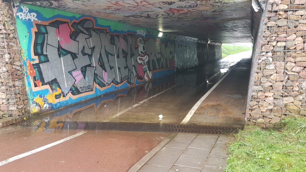 Waterballet in fietstunnel aangepakt